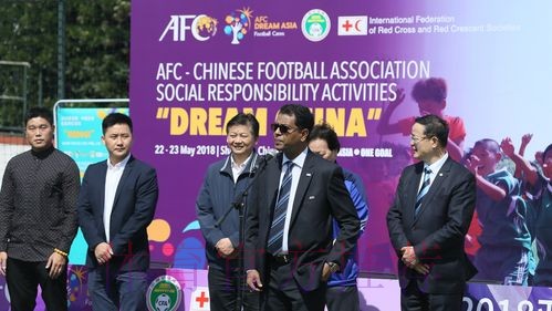 亚足联—中国足协社会“梦想中国”责任公益项目在京落幕 亚足联—中国足协社会“梦想中国”责任公益项目在京落幕