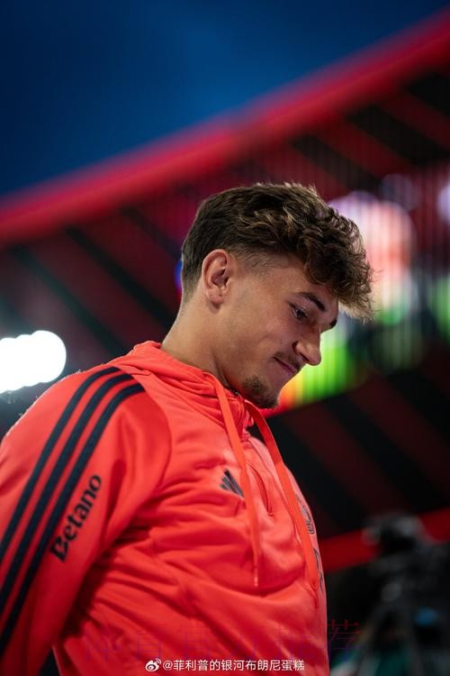 记者:除了阿莱 约维奇也是拜仁考虑的引援人选